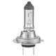 Bec H7 12V/55W