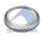 Inel ABS BPW/SAF