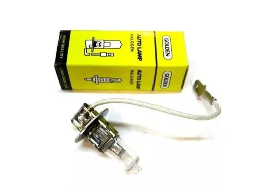 Bec 24V H3 100W u.gy