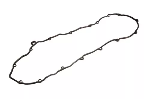 Garnitura capacului supapei
