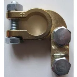 BATERIE SARU POZITIV