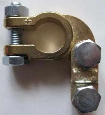 BATERIE SARU POZITIV