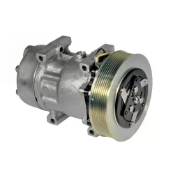 Compresor aer conditionat Renault Magnum