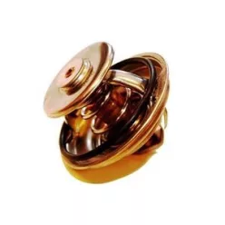 Termostat MAN/MB 79°