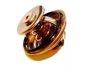 Termostat MAN/MB 79°