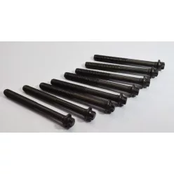 Set șuruburi cap cilindru MAN 8 bucăți