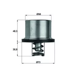 DAF,MAN,MB,SCANIA termostat lichid de răcire