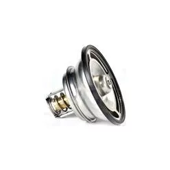 Termostat Volvo/RVI