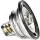 Termostat Volvo/RVI