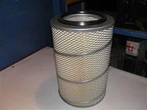 Filtru de aer Daf