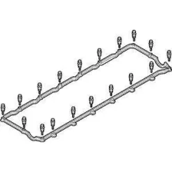 Garnitura pentru capacul supapei MAN TGA D2066