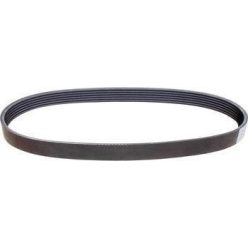 Curea longitudinală