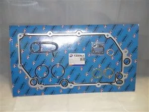 Garnitura radiatorului de ulei Scania kszt.