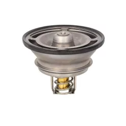 Termostat Volvo/RVI