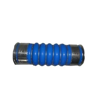 Furtun de umplere cu aer Volvo Fh