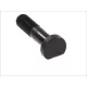 Șurub cu capac M18*1,5*72