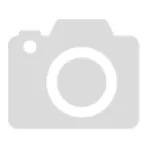Renault Premium II (din 2005)