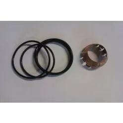 Inel de cauciuc carburator Scania