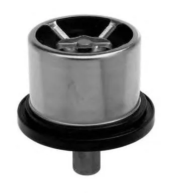 Termostat lichid de răcire Volvo F12, DAF