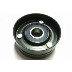 DAF XF105 Tensor de curea
