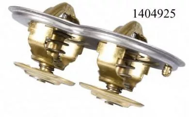 Scania 113,114 termostat