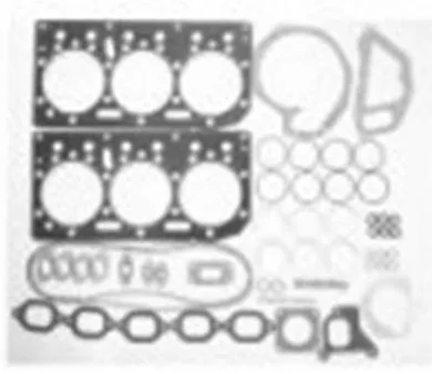 Kit garnituri carter DAF XF