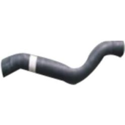 Furtun radiator Mercedes Actros