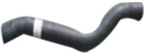Furtun radiator Mercedes Actros
