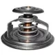 Termostat Renault Premium, Magnum