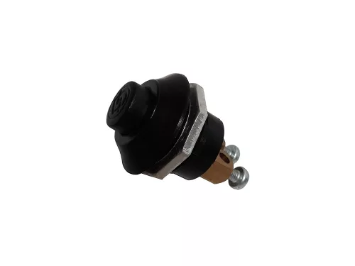 INTRERUPATOR AUTO BUTON CU REVENIRE