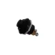 INTRERUPATOR AUTO BUTON CU REVENIRE