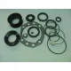 Kit de reparare a mecanismului de direcție DAF 95XF