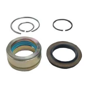 Kit de reparare a cilindrilor de lucru Scania 4