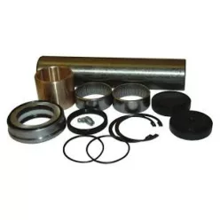 Kit de reparare a pivoților suspensiei Renault Midlum