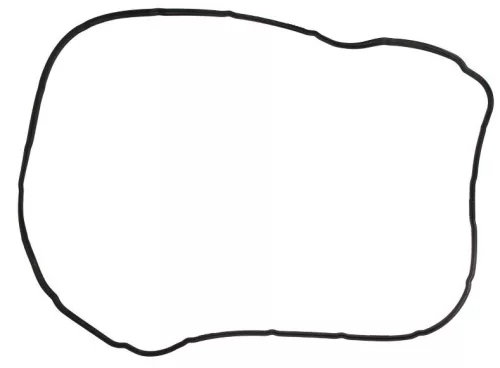 Garnitura de tigaie Renault/Volvo