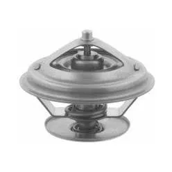 Termostat Iveco, MAN, MB