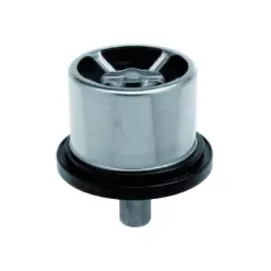 Termostat Renault Premium/Midlum