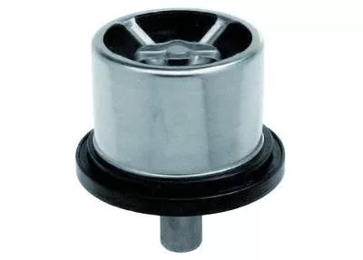 Termostat Renault Premium/Midlum