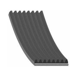 Curea Renault cu nervuri lungi 8PK1555