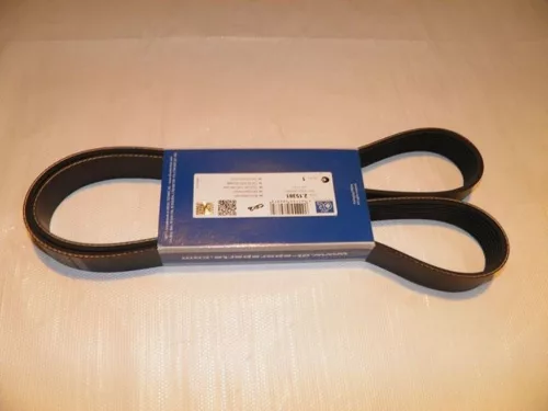 Curea longitudinală 8PK1537