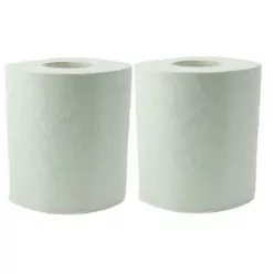 Prosoape de mână din hârtie 2 straturi 28*28 (2 buc)