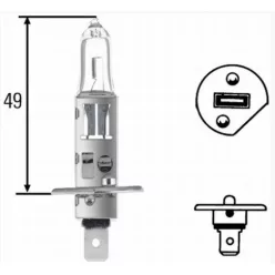Bec H1 12V 55W