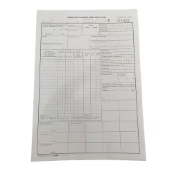 FORMULAR B 7300-237