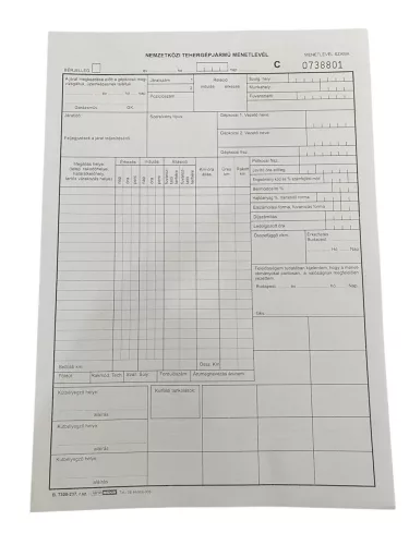 FORMULAR B 7300-237