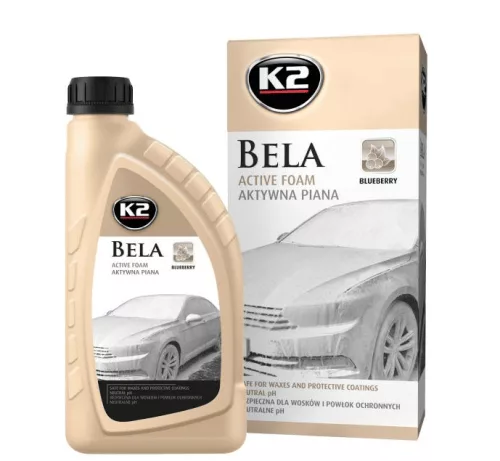 Șampon auto Blueberry