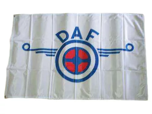 STEAG MARE DAF 120x75cm